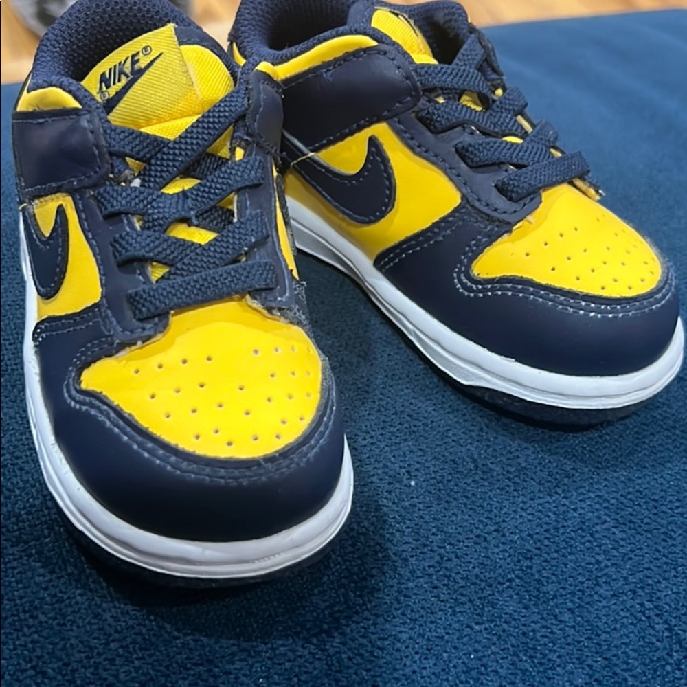 Nike dunk low Michigan 2021